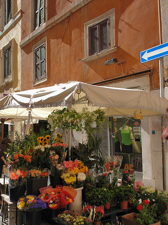 Blumen in der Altstadt