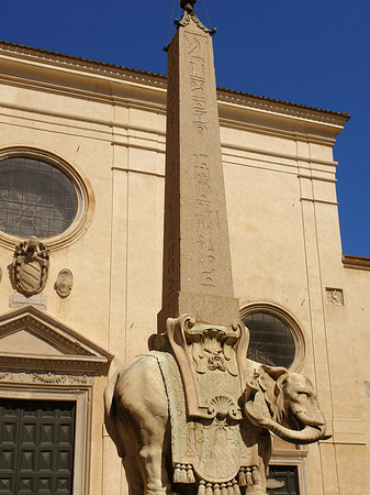 Foto Elefant von Bernini - Rom