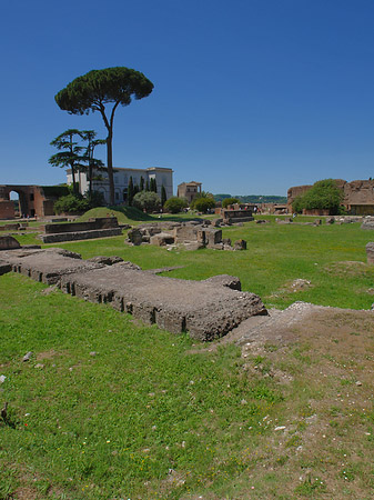 Fotos Domus Augustana und das Museo Palatino