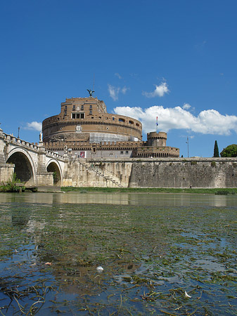 Tiber Fotos