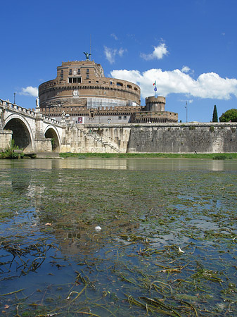 Tiber Foto 