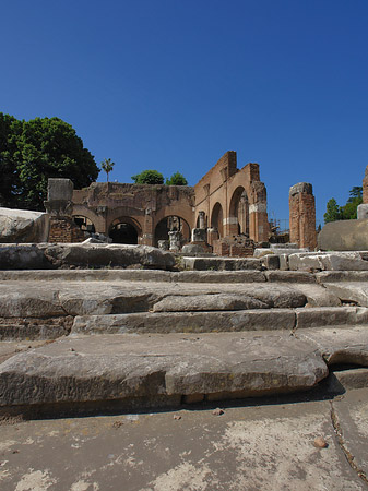 Forum Romanum Fotos