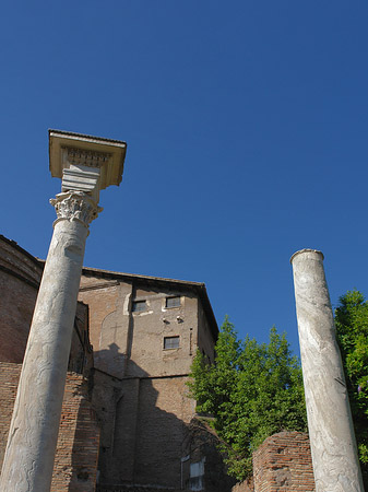 Foto Säule am Tempel - Rom