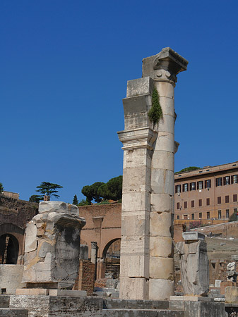 Säulen im Forum Romanum