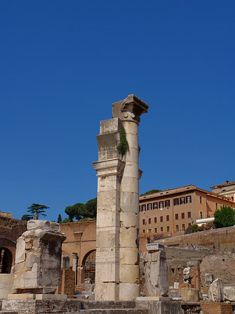 Foto Säulen im Forum Romanum