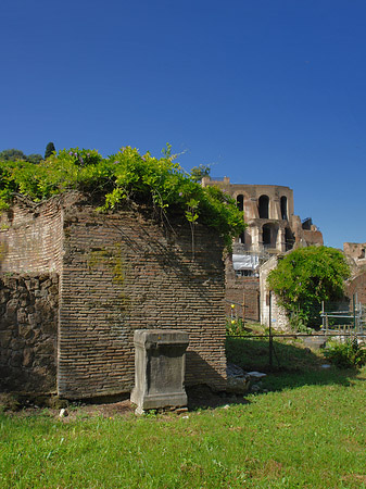 Steine im Forum Romanum Fotos