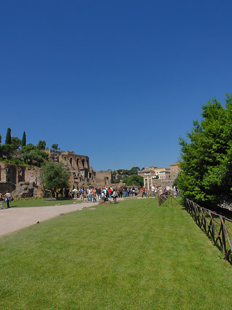 Weg ins Forum Romanum Fotos