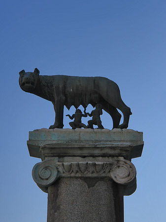 Romulus und Remus Säule