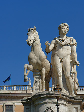 Foto Statuen der Dioskuren - Rom