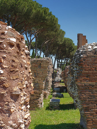 Fotos Ruinen am Apollo Tempel | Rom