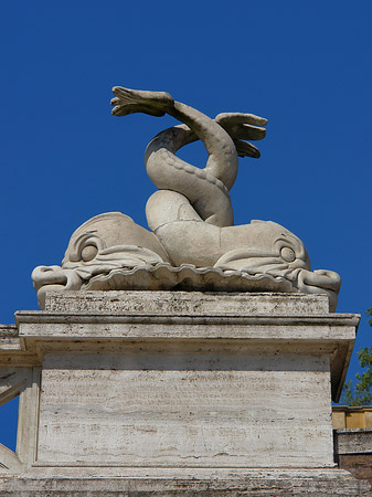 Fotos Schlangen an der Piazza | Rom