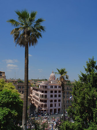 Foto Palme an der Spanischen Treppe