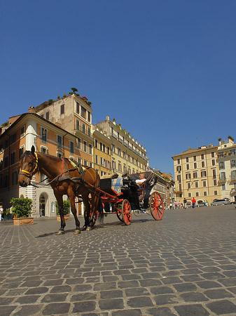 Foto Pferdekutsche auf der Piazza die Spagna