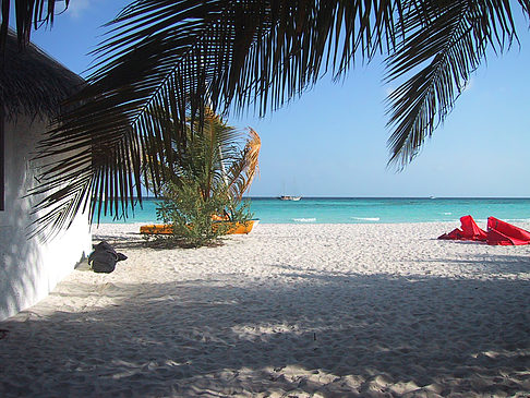 Der weiße Sandstrand der Malediven