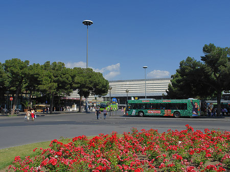 Foto Blumen am Bahnhof