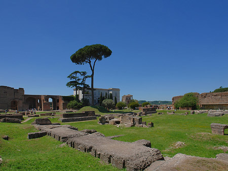 Fotos Domus Augustana und das Museo Palatino