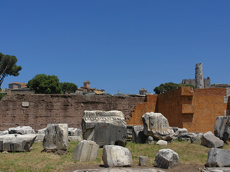 Fotos Basilica Aemilia