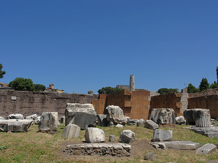 Fotos Basilica Aemilia | Rom