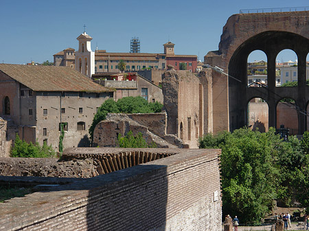 Foto Blick auf das Forum Romanum - Rom