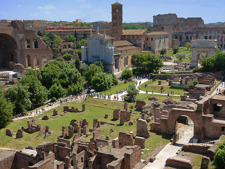 Blick auf das Forum Romanum Foto 