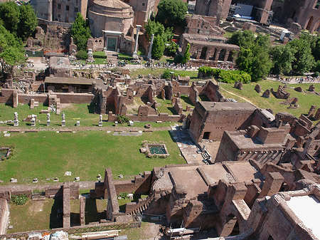 Blick auf das Forum Romanum Foto 