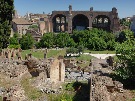 Fotos Blick auf das Forum Romanum