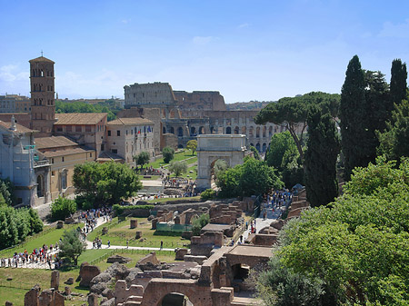 Blick auf das Forum Romanum Fotos