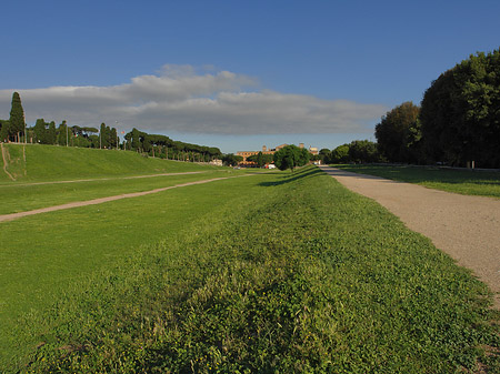 Foto Circus Maximus