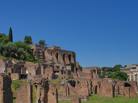 Forum Romanum Fotos