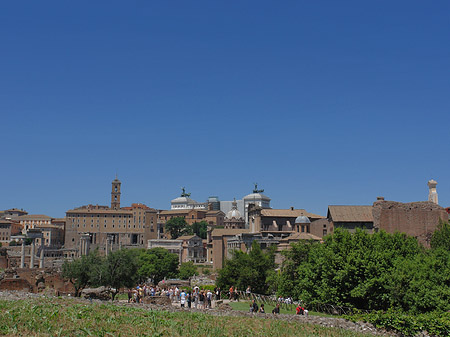 Forum Romanum Foto 