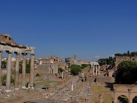 Forum Romanum Fotos