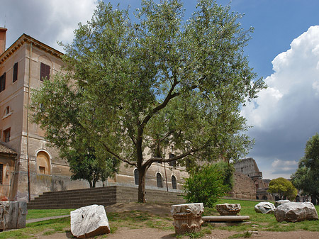 Foto Maxentiusbasilika