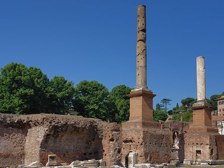 Fotos Säulen im Forum Romanum | Rom