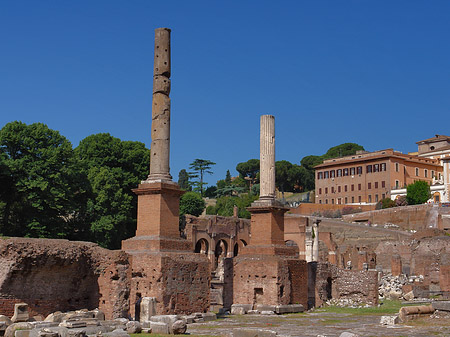 Fotos Säulen im Forum Romanum | Rom