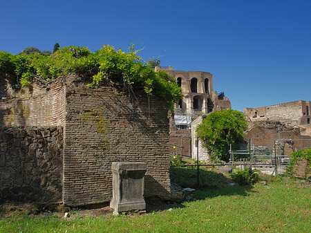 Fotos Steine im Forum Romanum