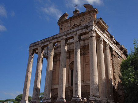 Tempel des Antoninus Pius und der Faustina Fotos