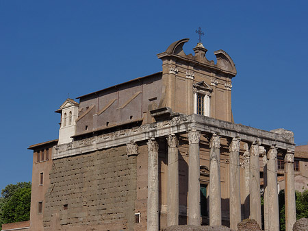 Tempel des Antoninus Pius und der Faustina Fotos