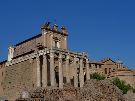 Fotos Tempel des Antoninus Pius und der Faustina