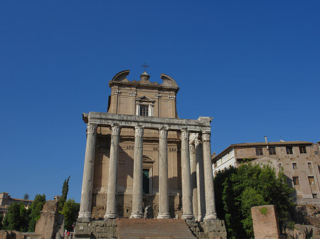 Tempel des Antoninus Pius und der Faustina Foto 