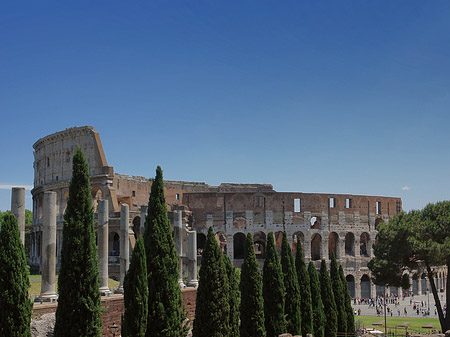 Kolosseum mit dem Forum Romanum Foto 