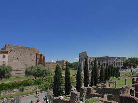 Foto Kolosseum mit dem Forum Romanum