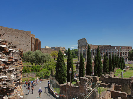 Fotos Kolosseum mit dem Forum Romanum