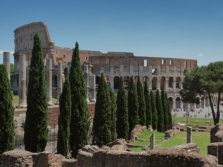 Kolosseum mit dem Forum Romanum