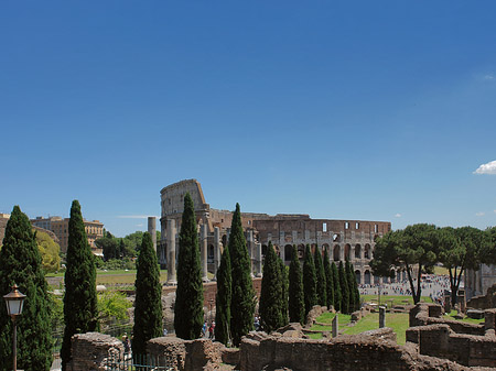 Fotos Kolosseum mit dem Forum Romanum