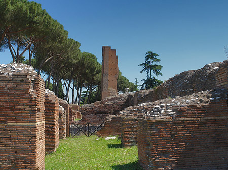 Ruinen am Apollo Tempel Fotos