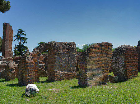 Foto Ruinen am Apollo Tempel - Rom