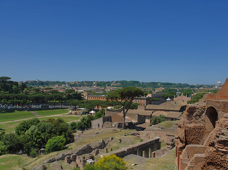 Circus Maximus Foto 