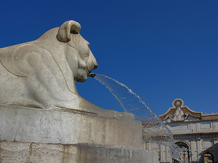 Löwenbrunnen Fotos