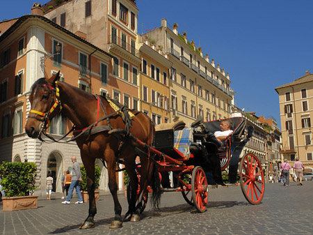 Fotos Pferdekutsche auf der Piazza die Spagna | Rom