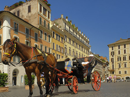 Pferdekutsche auf der Piazza die Spagna